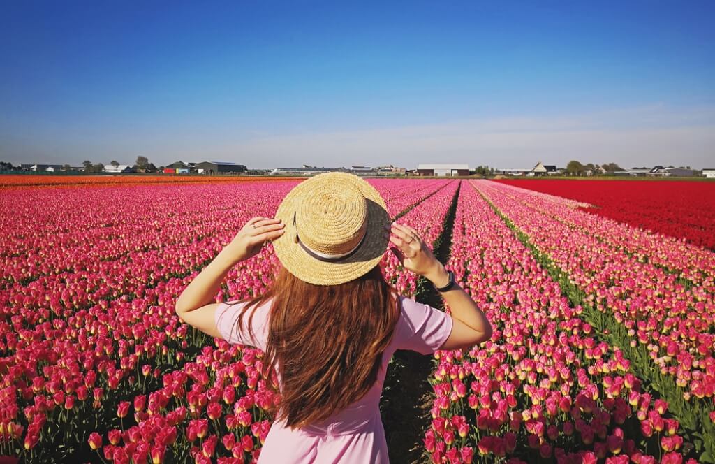 une voyageuse dans les champs de fleurs proche d'Amsterdam