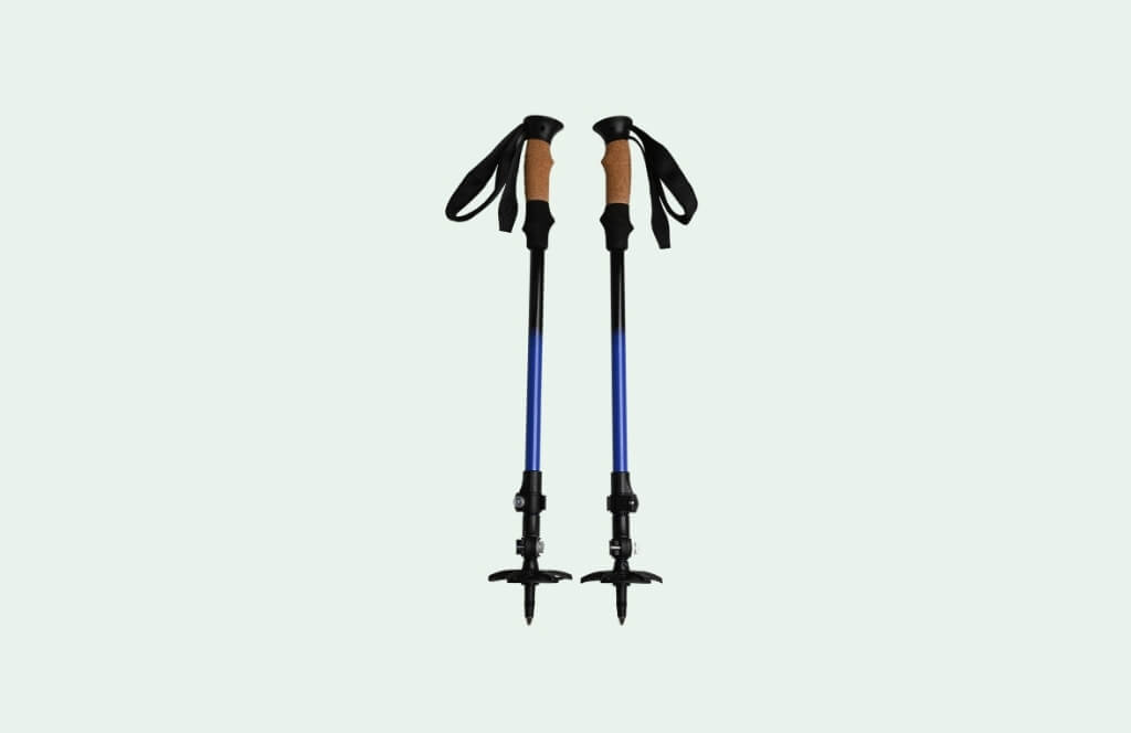 Des bâtons de marche en cadeau de Noël pour un grand père