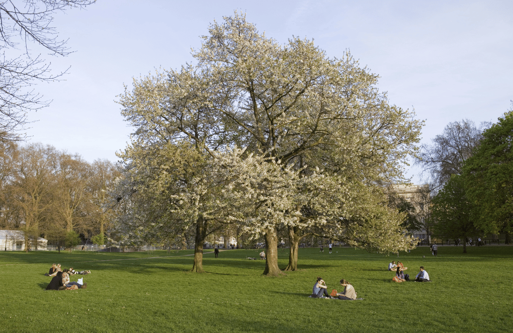 finsbury park in london is one of the best day trips by train from london