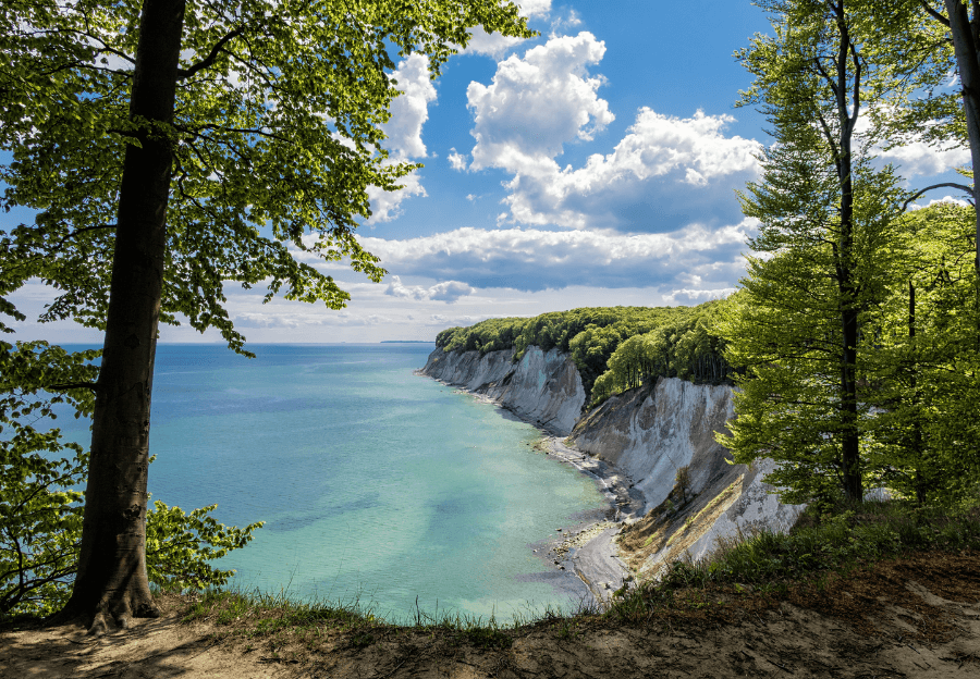 Kreidefelsen auf Rügen