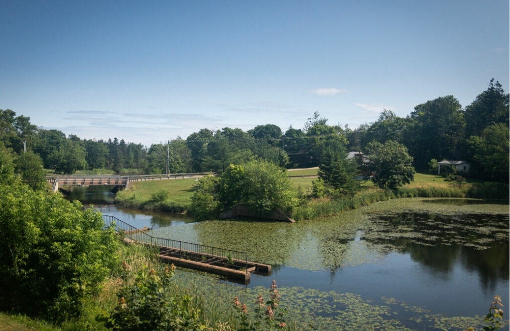 Tyne Valley Railway Day Trip in the UK from Newcastle 